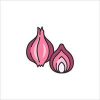 Two onions on a white background vector