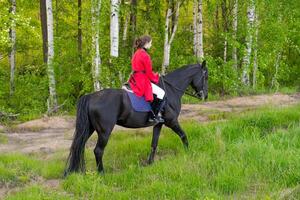 Woman is riding a black horse in a forest photo