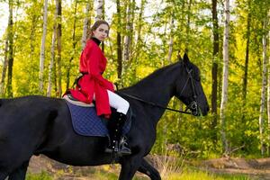 Woman is riding a black horse in a forest photo