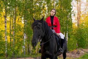 Woman is riding a black horse in a forest photo