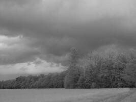 Black and white photo of a field with trees