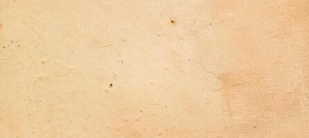 photo of wall fungus