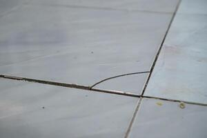 Close-up photo of white ceramic which is broken in the corner shoot on sunny day