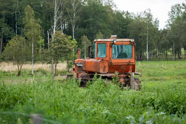 An old orange tractor parked in a field overgrown with tall grass, with trees in the background.