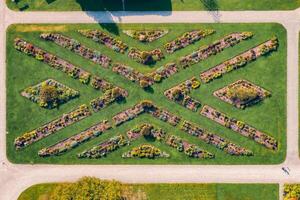 Aerial View of Symmetrical Botanical Garden with Geometric Pathways photo