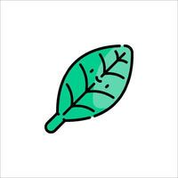 A green leaf icon on a white background vector