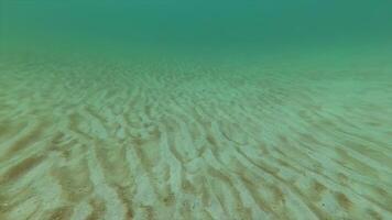 The bottom of the sea, covered with waves of sand, formed during a storm video