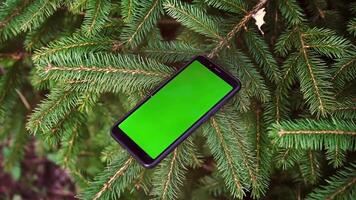 Phone with a green screen on Christmas tree fluffy branches. Smartphone mock up with empty green screen at decorated Christmas tree video