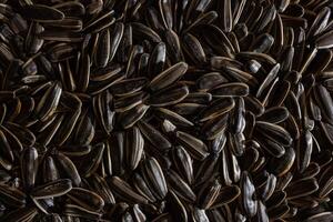 Non Salty Roasted Sunflower Seeds in Shell. A Culinary Canvas of Sunflower Kernels, Creating a Lively and Textured Background for Gourmet Cooking. Scattered Sun Flower Seeds - Top View, Flat Lay photo