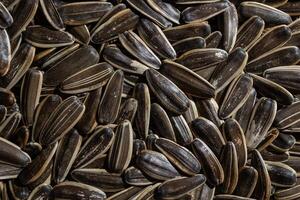 Non Salty Roasted Sunflower Seeds in Shell. A Culinary Canvas of Sunflower Kernels, Creating a Lively and Textured Background for Gourmet Cooking. Scattered Sun Flower Seeds - Top View, Flat Lay photo