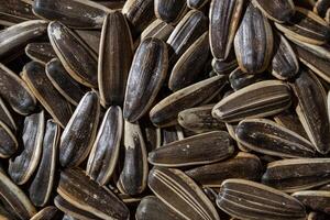 Non Salty Roasted Sunflower Seeds in Shell. A Culinary Canvas of Sunflower Kernels, Creating a Lively and Textured Background for Gourmet Cooking. Scattered Sun Flower Seeds - Top View, Flat Lay photo
