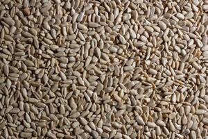 Peeled Sunflower Seeds Background. A Culinary Canvas of Shell-free Sunflower Seeds, Creating a Lively and Textured Background for Gourmet Cooking - Top View, Flat Lay photo