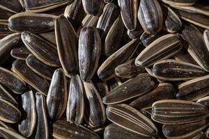Non Salty Roasted Sunflower Seeds in Shell. A Culinary Canvas of Sunflower Kernels, Creating a Lively and Textured Background for Gourmet Cooking. Scattered Sun Flower Seeds - Top View, Flat Lay photo