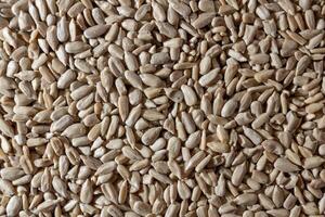 Peeled Sunflower Seeds Background. A Culinary Canvas of Shell-free Sunflower Seeds, Creating a Lively and Textured Background for Gourmet Cooking - Top View, Flat Lay photo