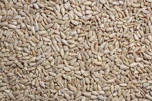 Peeled Sunflower Seeds Background. A Culinary Canvas of Shell-free Sunflower Seeds, Creating a Lively and Textured Background for Gourmet Cooking - Top View, Flat Lay photo