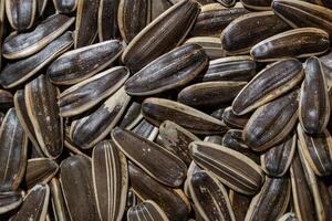 Non Salty Roasted Sunflower Seeds in Shell. A Culinary Canvas of Sunflower Kernels, Creating a Lively and Textured Background for Gourmet Cooking. Scattered Sun Flower Seeds - Top View, Flat Lay photo