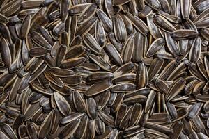 Non Salty Roasted Sunflower Seeds in Shell. A Culinary Canvas of Sunflower Kernels, Creating a Lively and Textured Background for Gourmet Cooking. Scattered Sun Flower Seeds - Top View, Flat Lay photo