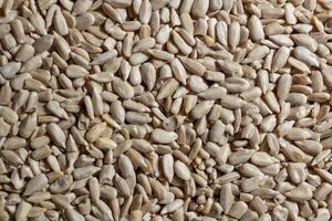 Peeled Sunflower Seeds Background. A Culinary Canvas of Shell-free Sunflower Seeds, Creating a Lively and Textured Background for Gourmet Cooking - Top View, Flat Lay photo