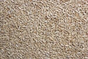 Peeled Sunflower Seeds Background. A Culinary Canvas of Shell-free Sunflower Seeds, Creating a Lively and Textured Background for Gourmet Cooking - Top View, Flat Lay photo