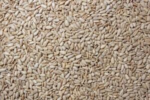Peeled Sunflower Seeds Background. A Culinary Canvas of Shell-free Sunflower Seeds, Creating a Lively and Textured Background for Gourmet Cooking - Top View, Flat Lay photo