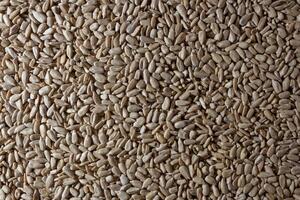 Peeled Sunflower Seeds Background. A Culinary Canvas of Shell-free Sunflower Seeds, Creating a Lively and Textured Background for Gourmet Cooking - Top View, Flat Lay photo