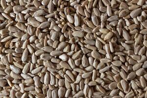 Peeled Sunflower Seeds Background. A Culinary Canvas of Shell-free Sunflower Seeds, Creating a Lively and Textured Background for Gourmet Cooking - Top View, Flat Lay photo