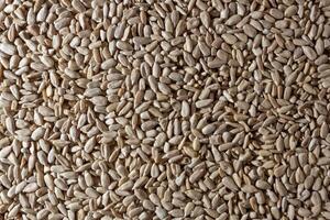 Peeled Sunflower Seeds Background. A Culinary Canvas of Shell-free Sunflower Seeds, Creating a Lively and Textured Background for Gourmet Cooking - Top View, Flat Lay photo