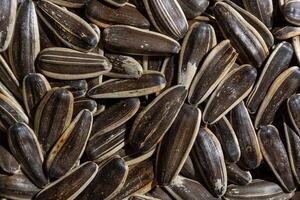 Non Salty Roasted Sunflower Seeds in Shell. A Culinary Canvas of Sunflower Kernels, Creating a Lively and Textured Background for Gourmet Cooking. Scattered Sun Flower Seeds - Top View, Flat Lay photo