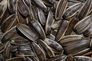 Non Salty Roasted Sunflower Seeds in Shell. A Culinary Canvas of Sunflower Kernels, Creating a Lively and Textured Background for Gourmet Cooking. Scattered Sun Flower Seeds - Top View, Flat Lay photo