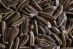 Non Salty Roasted Sunflower Seeds in Shell. A Culinary Canvas of Sunflower Kernels, Creating a Lively and Textured Background for Gourmet Cooking. Scattered Sun Flower Seeds - Top View, Flat Lay photo