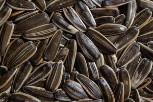 Non Salty Roasted Sunflower Seeds in Shell. A Culinary Canvas of Sunflower Kernels, Creating a Lively and Textured Background for Gourmet Cooking. Scattered Sun Flower Seeds - Top View, Flat Lay photo