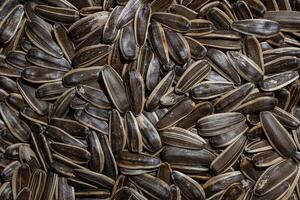 Non Salty Roasted Sunflower Seeds in Shell. A Culinary Canvas of Sunflower Kernels, Creating a Lively and Textured Background for Gourmet Cooking. Scattered Sun Flower Seeds - Top View, Flat Lay photo