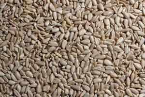 Peeled Sunflower Seeds Background. A Culinary Canvas of Shell-free Sunflower Seeds, Creating a Lively and Textured Background for Gourmet Cooking - Top View, Flat Lay photo