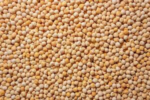 Uncooked Yellow Polished Peas Background. A Culinary Canvas of Dry Yellow Peas, Creating a Lively and Textured Background for Gourmet Cooking. Scattered Raw Polished Peas. Healthy Eating Ingredients photo