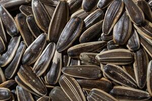 Non Salty Roasted Sunflower Seeds in Shell. A Culinary Canvas of Sunflower Kernels, Creating a Lively and Textured Background for Gourmet Cooking. Scattered Sun Flower Seeds - Top View, Flat Lay photo