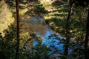 Serene River Flowing Through Lush Forest with Sunlit Canopy photo