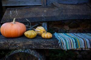 Rustic Wooden Bench with Pumpkins and Gourds in Autumn Setting photo