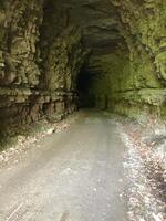 bicycle, touring, camping, bike path, river, tunnel, bridge, tent photo