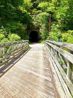 bicycle, touring, camping, bike path, river, tunnel, bridge, tent photo