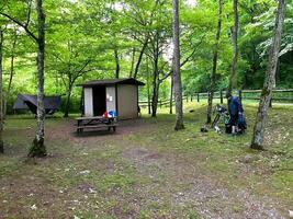bicycle, touring, camping, bike path, river, tunnel, bridge, tent photo