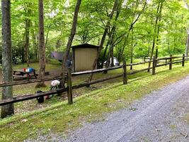 bike packing bicycle tour photo