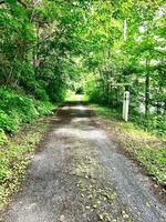 bicycle, touring, camping, bike path, river, tunnel, bridge, tent photo