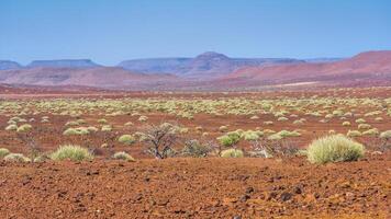 Scenic view of the Palmwag Concession Area in Namibia. photo
