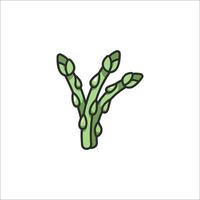 Asparagus icon illustration vector