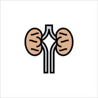 A kidney icon on a white background vector