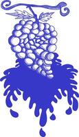 A single, overripe bunch of blue grapes hangs from a vine, dripping juice onto a white background. vector