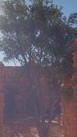 A stone building with a tree in the background video