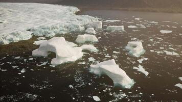 A serene scene of icebergs floating on calm waters video