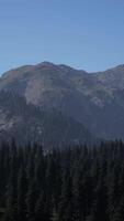 A mountain range with trees in the foreground and a blue sky in the background video