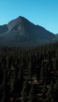 An aerial view of a forest with mountains in the background video